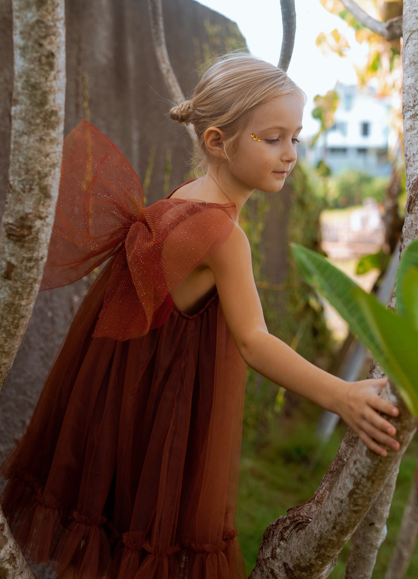 Scarlet Dress Brown